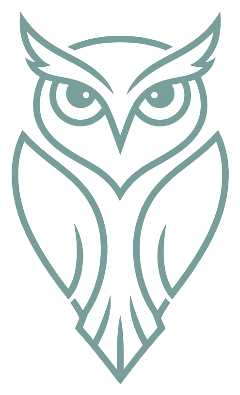 The OWL Project owl logo